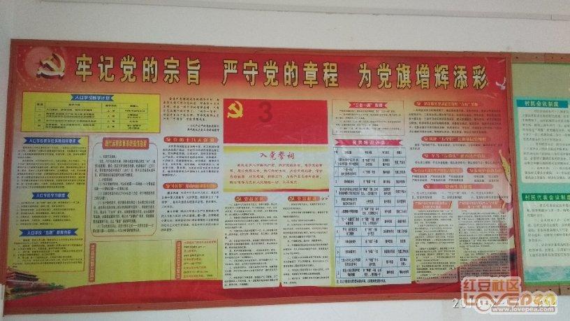 红运当头放室内还是室外养- 专业问答网站